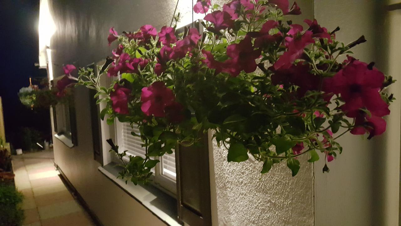 Marthys House With Hot Tub Looe 빌라 외부 사진